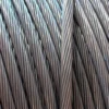 AAAC-All Aluminum Alloy Conductor