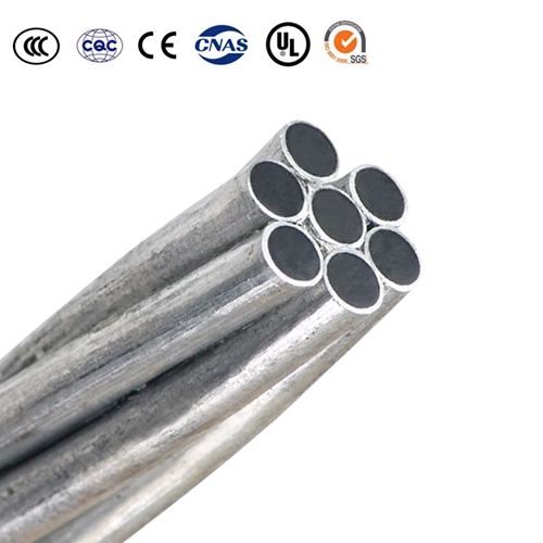 ACSS Aluminum Conductor Steel Supported