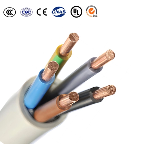 PVCInsulationandSheathControlCable-1